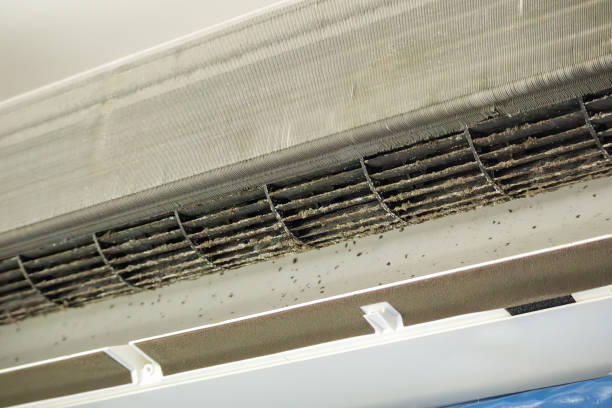 Best Ventilation Cleaning Services  in Duenweg, MO