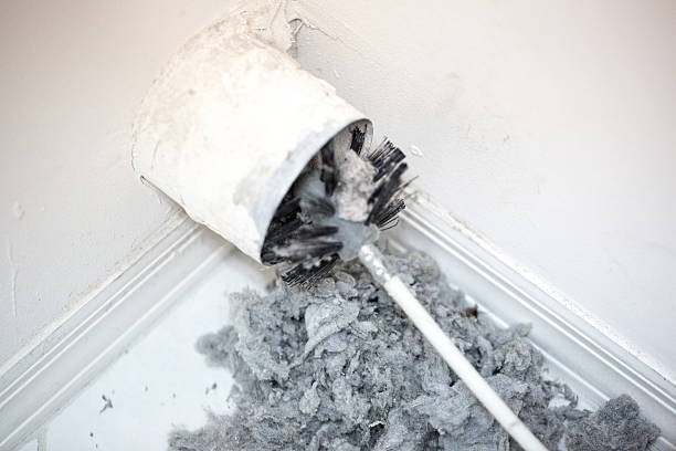 Best Air Duct Cleaning Company Near Me  in Duenweg, MO
